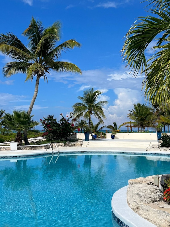 A clear blue pool surrounded by palm trees and a view of the ocean.