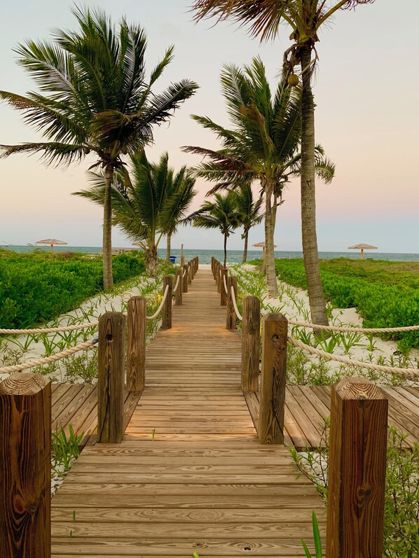 A wooden boardwalk leading to a beach with palm trees and beach umbrellas.