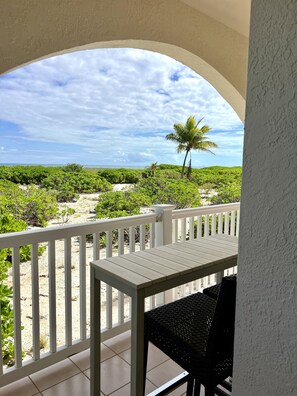 Property grounds - Beachfront- BREEZY POINT CONDO. "Newly Furnished"! (Wheeland Settlement)