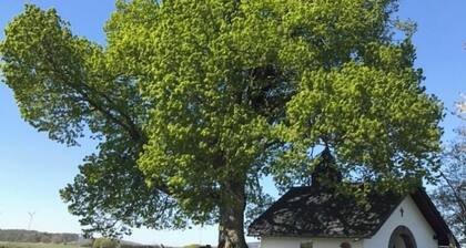 Ferienhaus "Auf der Hill"