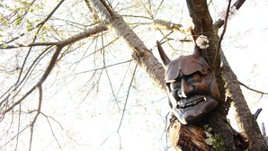 Un arbre orné d’une sculpture représentant un visage, taillée dans le bois.