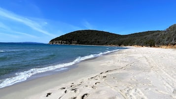 Plage à proximité, chaises longues