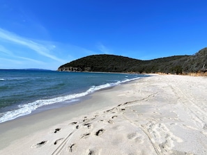 Una playa arenosa con huellas que conducen al agua, cielo despejado y una colina boscosa al fondo.