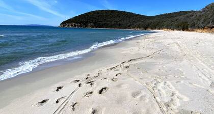 Fantastique villa toscane dans un endroit isolé avec piscine et cuisine en plein air, prÚs de la mer