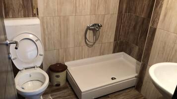 Combined shower/bathtub, towels, soap, shampoo