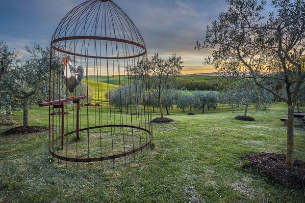 A rustic outdoor setting with a metal birdcage, a wooden bench, and a backdrop of olive trees and a grassy field under a cloudy sky.