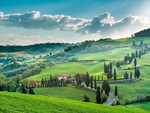 A rural landscape with rolling hills, a winding road, and a small building surrounded by trees.