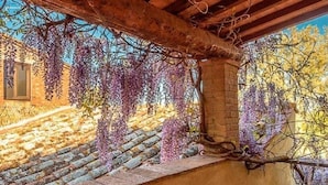 A stone terrace with hanging purple wisteria vines, a brick wall, and a wooden pergola. - Bertusi Source- The Sunset (Pienza)