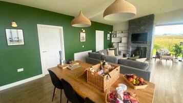 TV, fireplace, DVD player