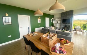 TV, fireplace, DVD player