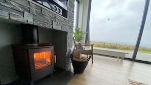 A wood-burning stove with a glass front, a chair, a potted plant, and a view of the outdoors.