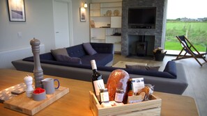 TV, fireplace, DVD player