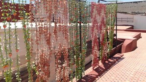 Una terraza en la azotea con plantas colgantes y cielo despejado.