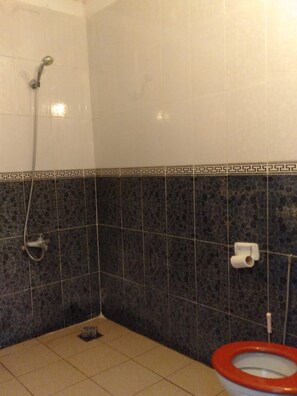 A bathroom with a shower, toilet, and a towel rack. - Dar Tsouli (Rabat)