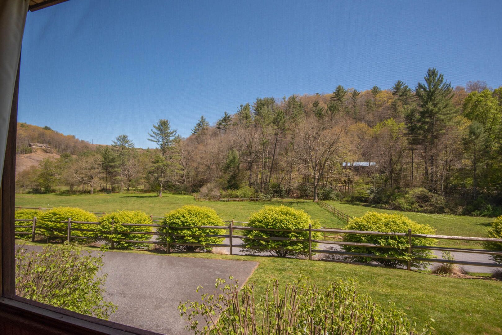 Vista di un prato verde con una recinzione di legno e alberi sullo sfondo.
