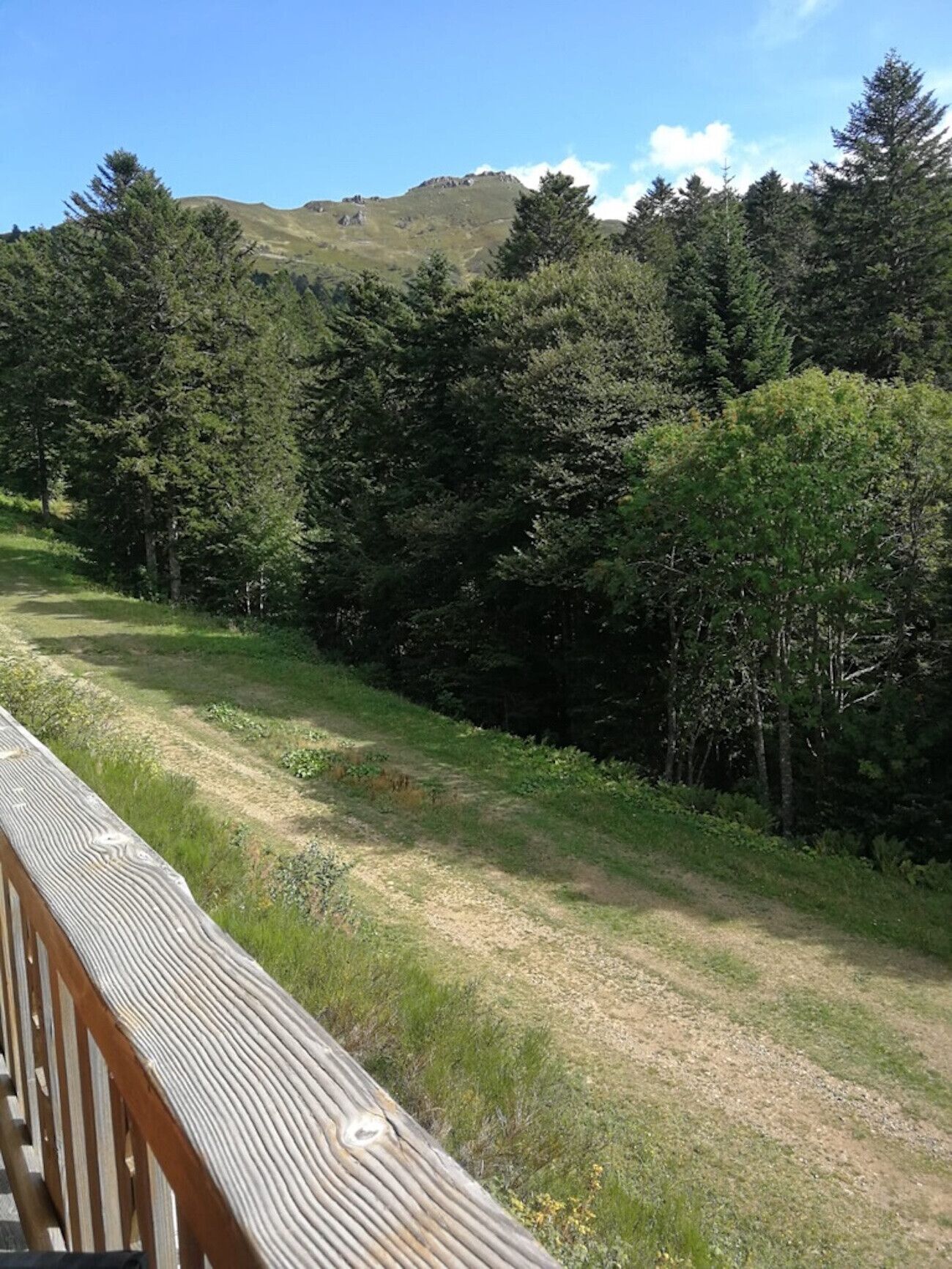 Un pontile in legno che si affaccia su un sentiero erboso, con alberi fitti e una collina sullo sfondo.