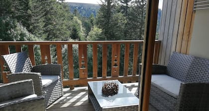 CHALET DUPLEX 3 CH PIED DE PISTE , CENTRE STATION, PARKING , WIFI