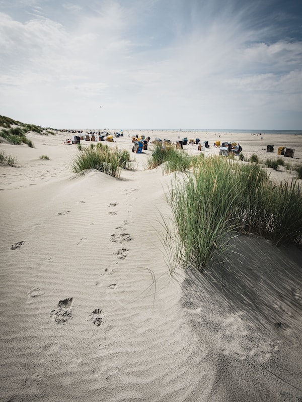 On the beach
