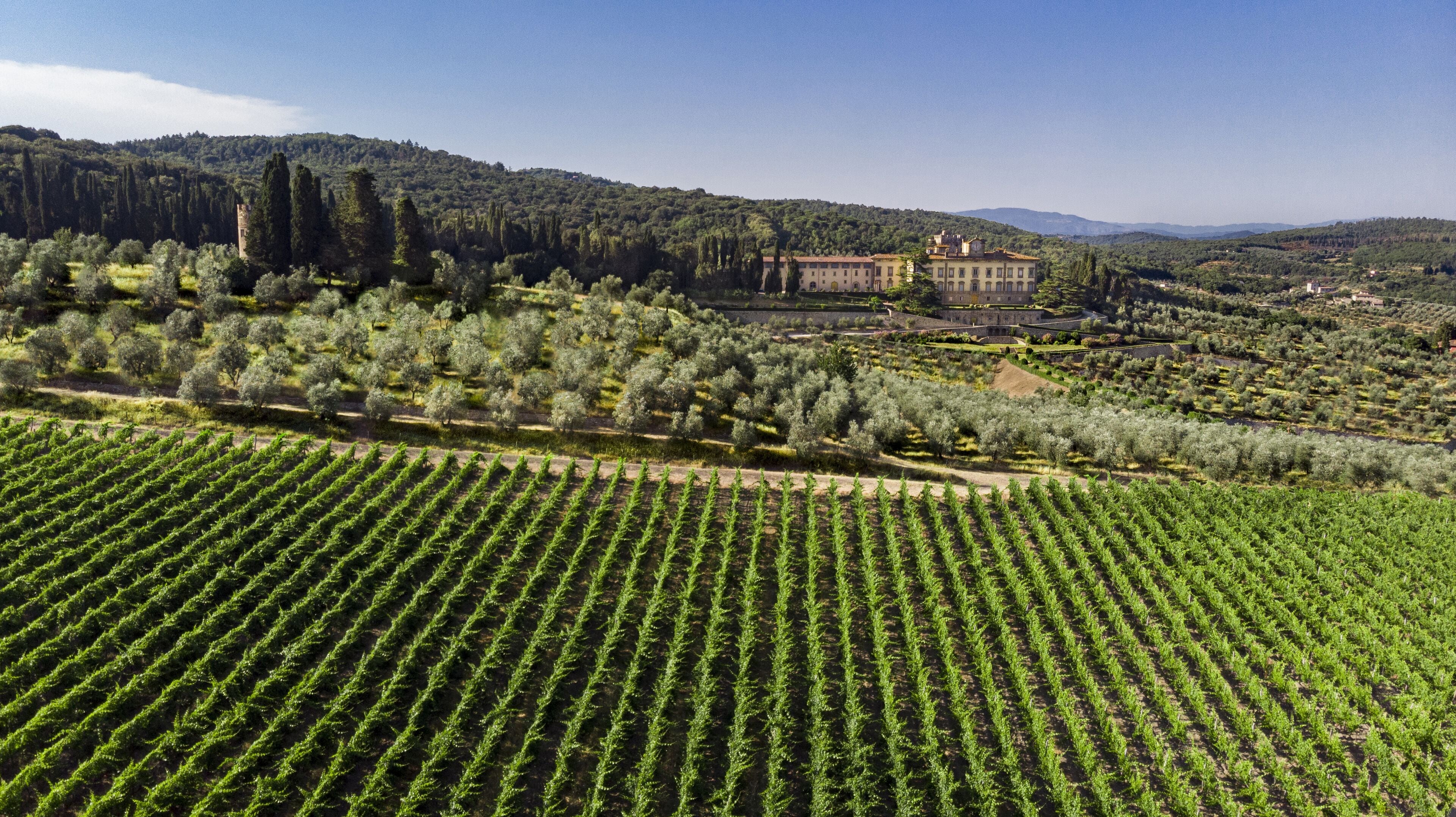 Photo - Torre a Cona Wine Estate