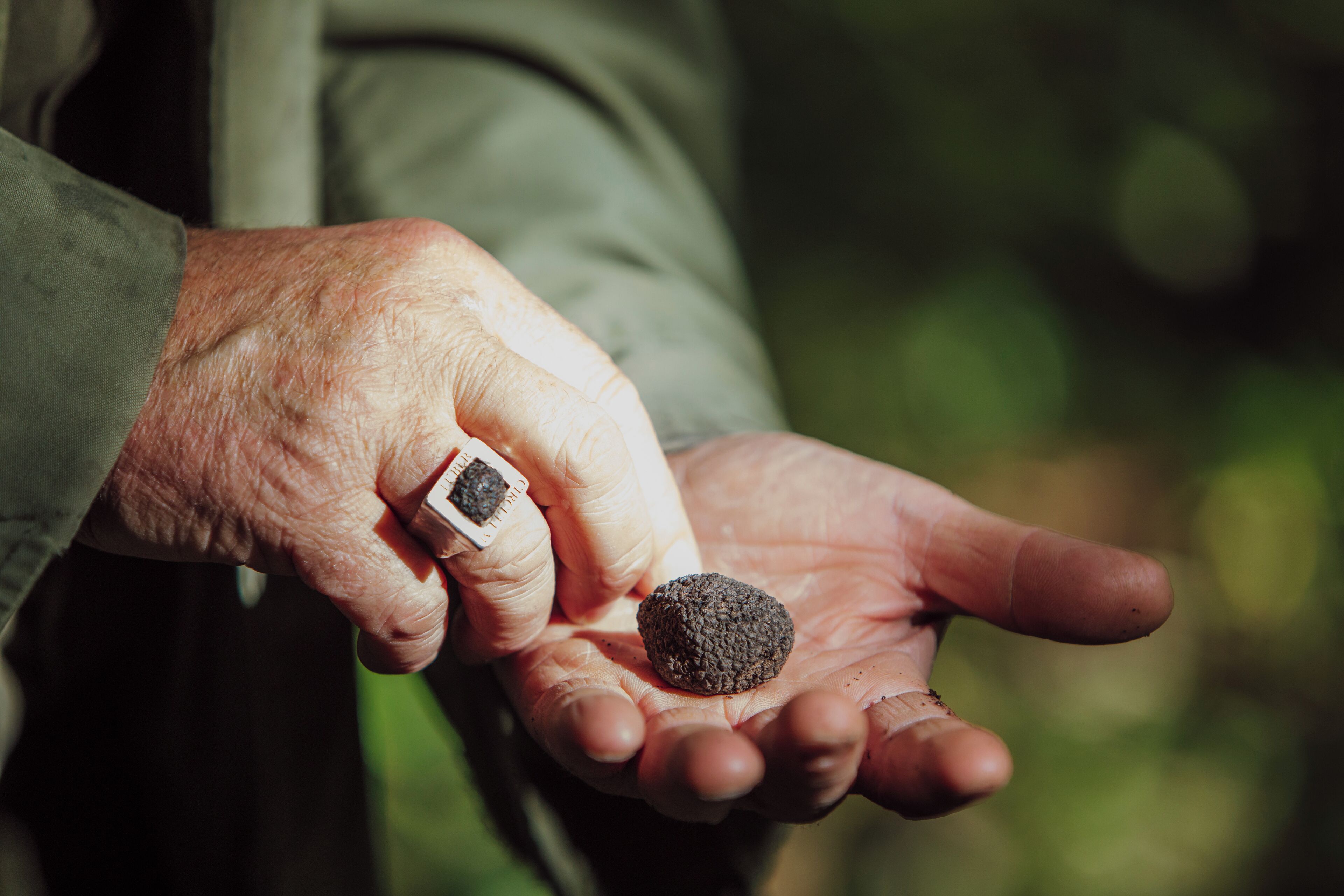 Photo - Torre a Cona Wine Estate