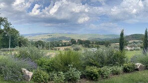 A landscape with rolling hills, a white building, and a variety of vegetation.