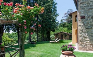 Área da propriedade