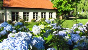 A house with a red-tiled roof, a white exterior, and a garden with hydrangea flowers. - A spacious and quiet villa in the heart of Flanders, near Bruges and the sea! (Maldegem)
