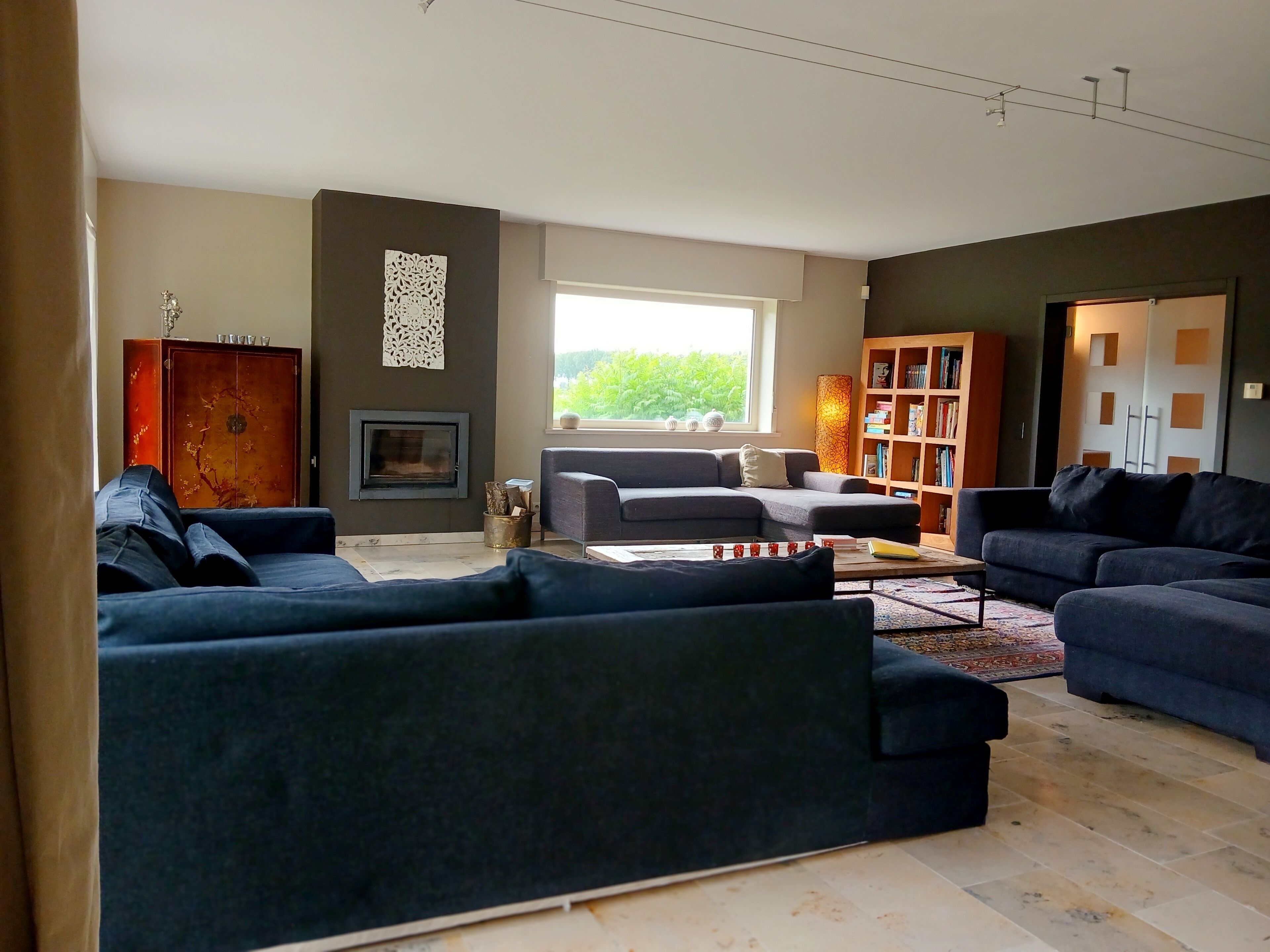 TV, fireplace, table tennis, books