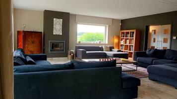 TV, fireplace, table tennis, books