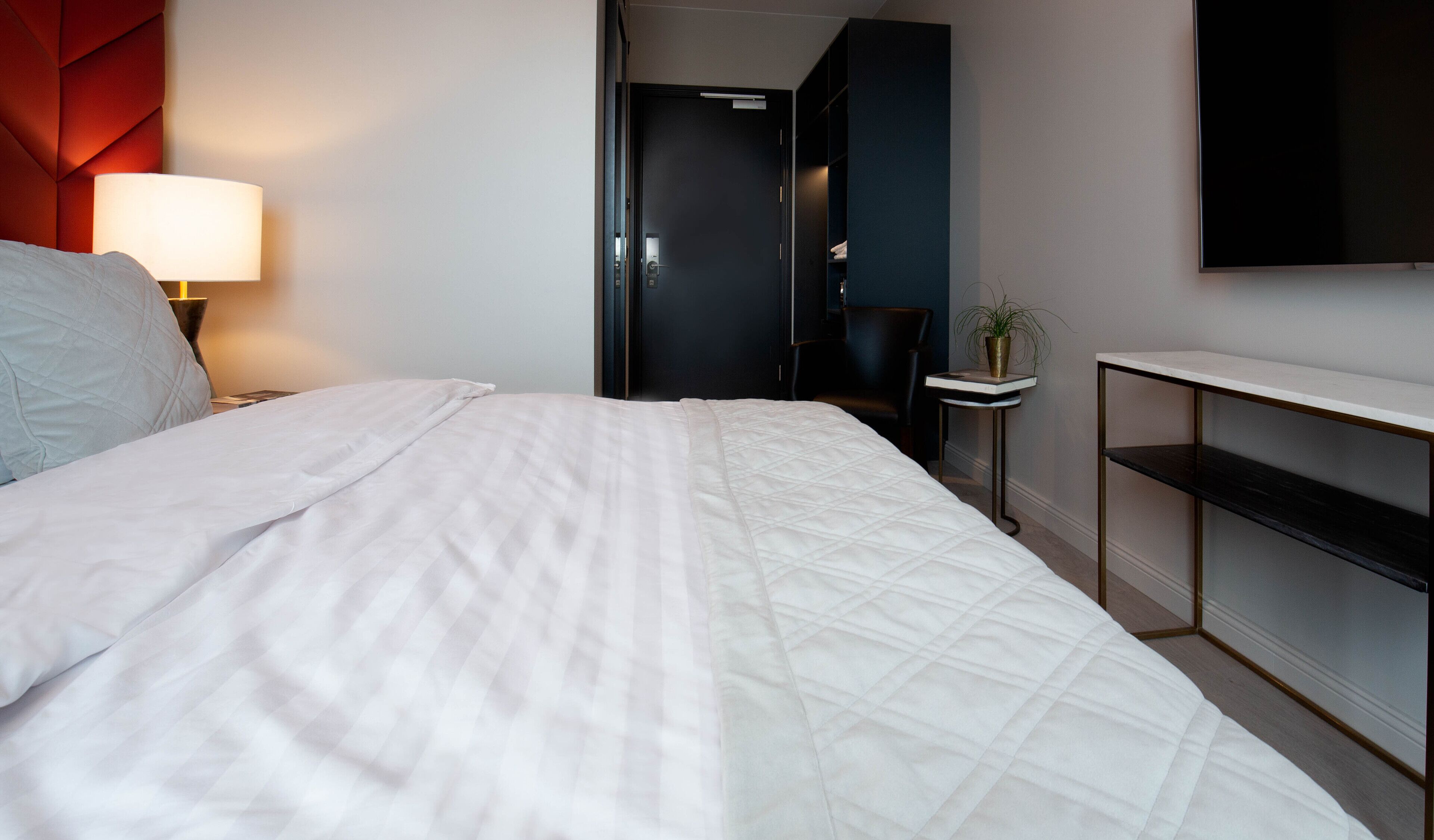 A modern hotel room with a large bed, a bedside lamp, a TV, and a small table with a plant.