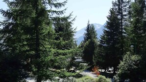 Un paesaggio verde e rigoglioso con alberi sempreverdi alti, un cielo sereno e una montagna sullo sfondo.