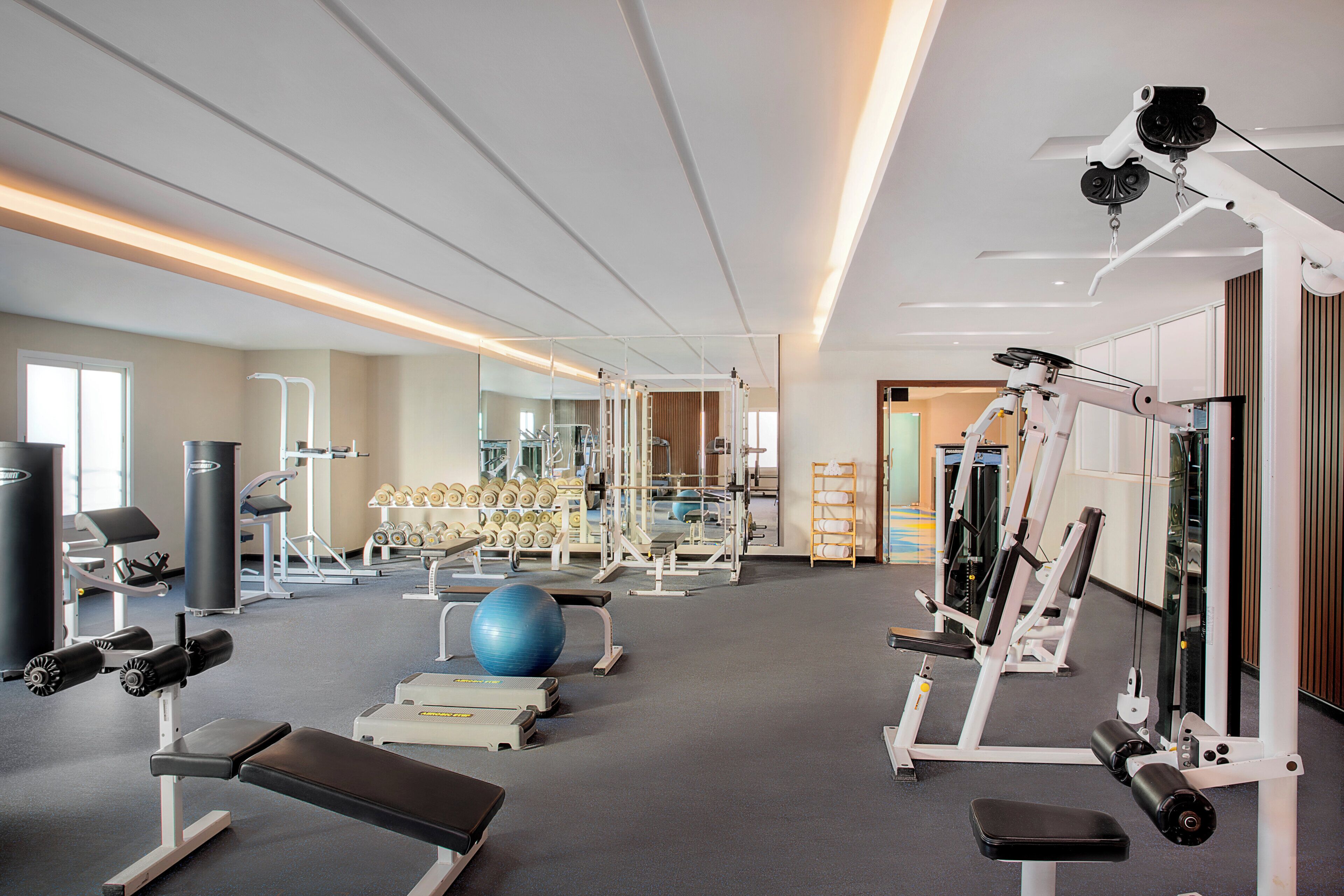 Un gimnasio con equipos de ejercicio variados, incluyendo cintas de correr, máquinas de pesas y pesas libres.