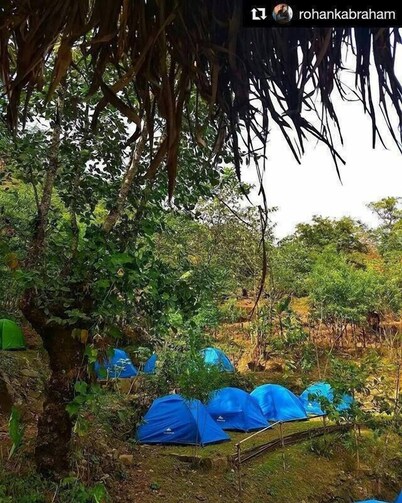 Camp David Kigwema
