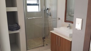 Douche, sèche-cheveux, serviettes fournies, papier toilette