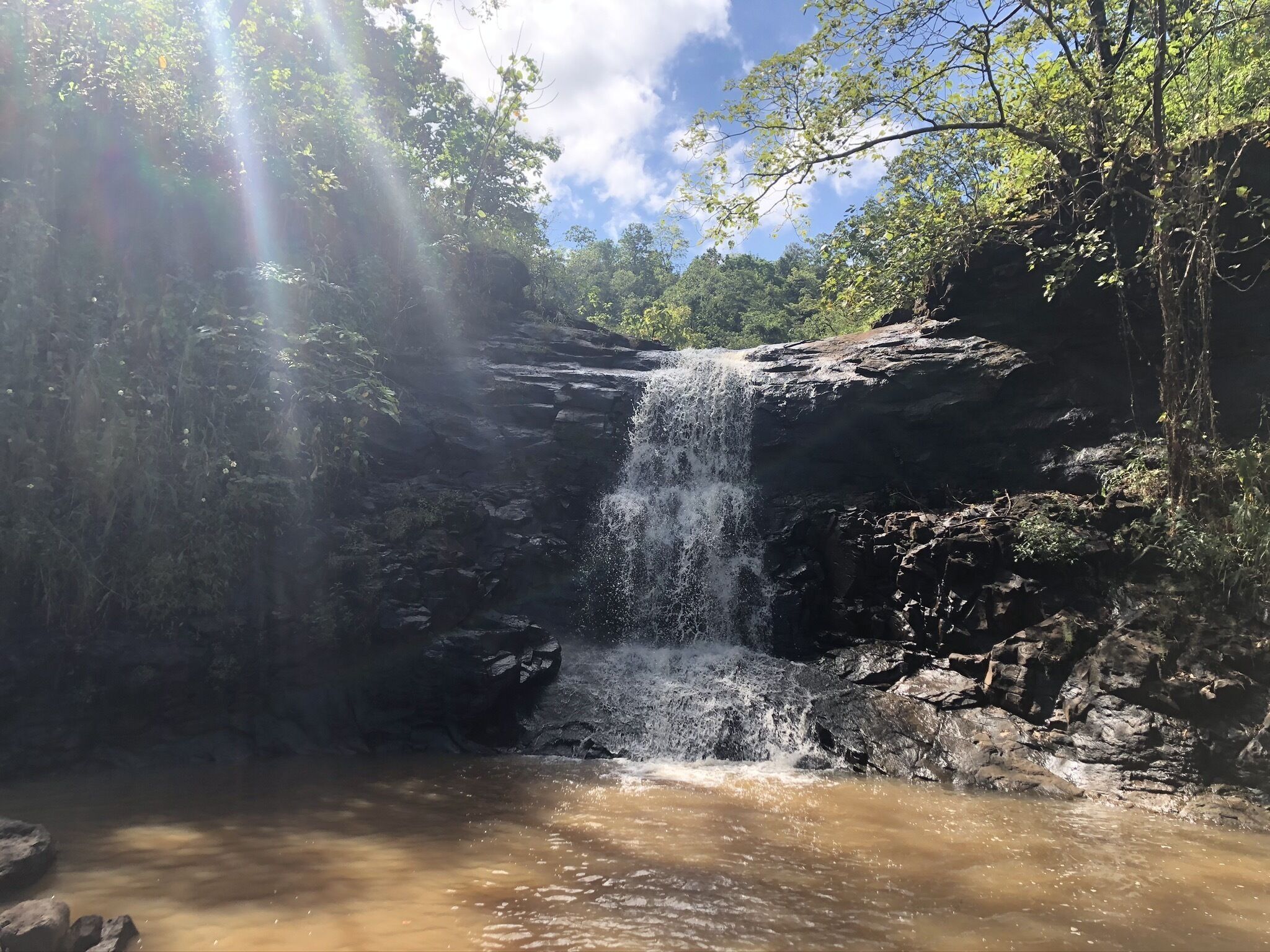 Una cascada fluye sobre rocas hacia una poza poco profunda, rodeada de follaje denso y árboles.