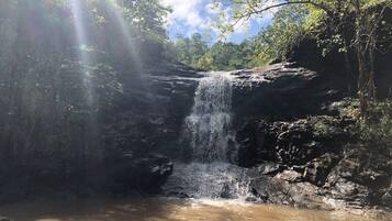 Una cascada fluye sobre rocas hacia una poza poco profunda, rodeada de follaje denso y árboles.