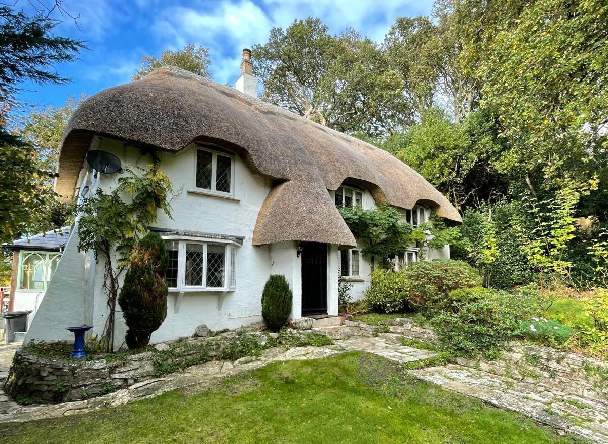A traditional thatched-roof house with a stone pathway leading to the entrance.