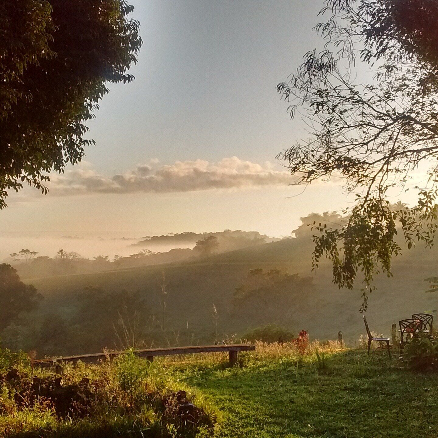 Área da propriedade