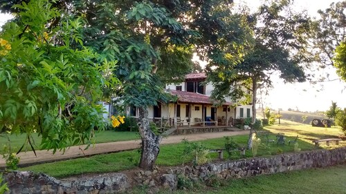 ECOLOGICAL FARM IN COPIOBA'S FOREST