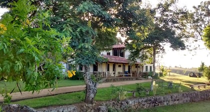 ECOLOGICAL FARM IN COPIOBA'S FOREST
