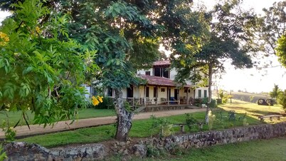 ECOLOGICAL FARM IN COPIOBA'S FOREST