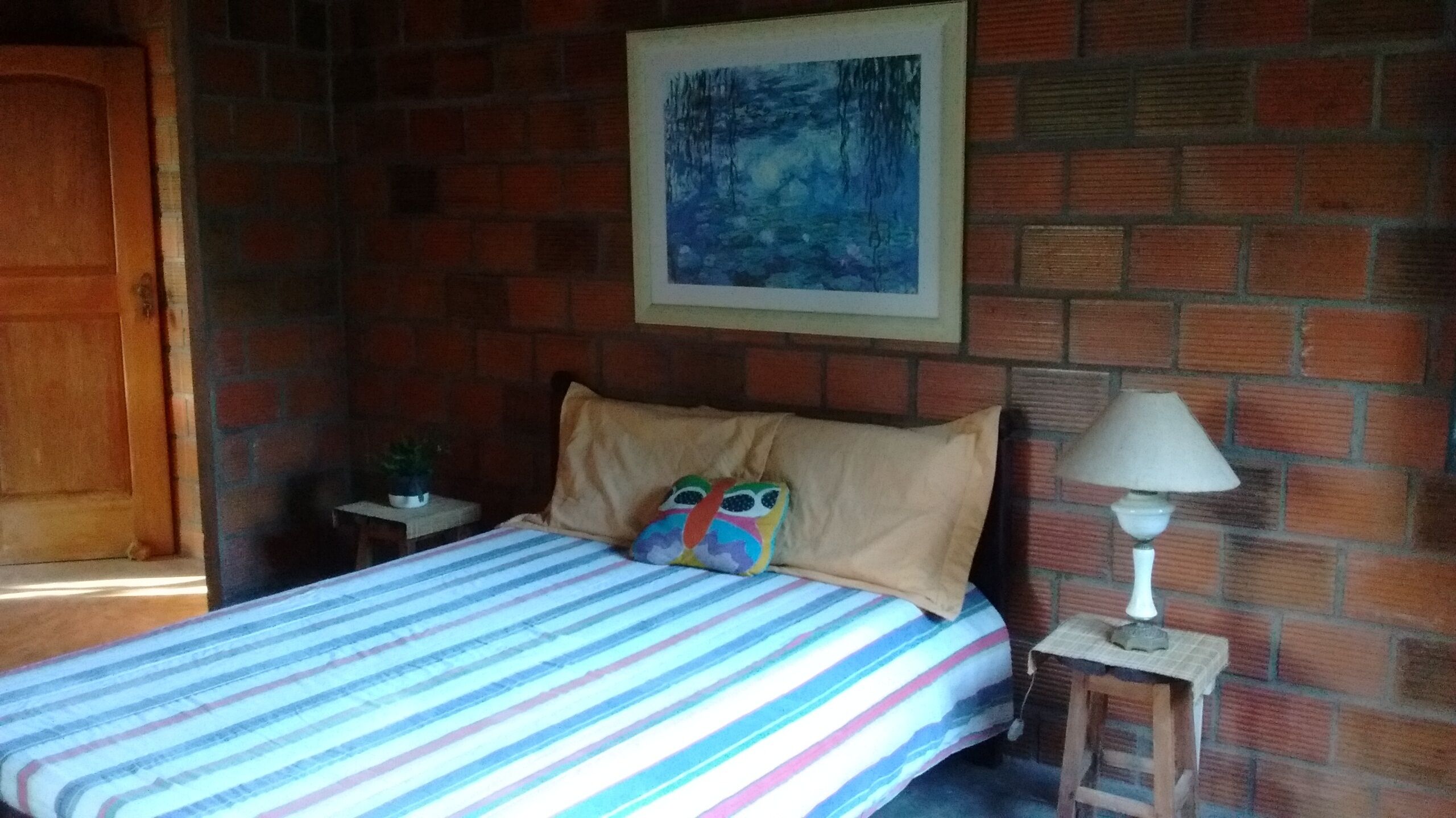 ECOLOGICAL FARM IN COPIOBA'S FOREST