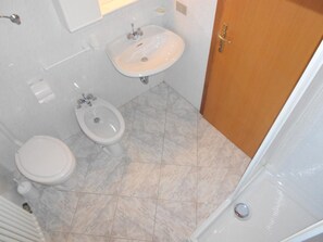 Shower, hair dryer, bidet, towels