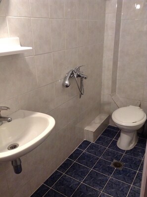 Standard Double Room | Bathroom | Shower, towels, soap, shampoo
