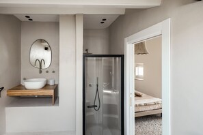 Ducha, cabezal de ducha tipo lluvia, secador de pelo, bidet