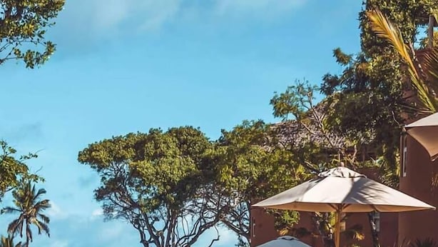 A pool area with lounge chairs and umbrellas, surrounded by trees and overlooking the ocean. - Medina Palms (Watamu)