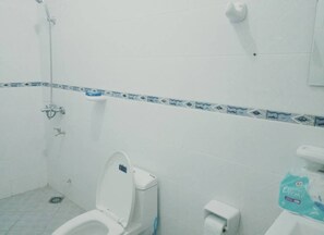 Shower, hair dryer, bidet, towels