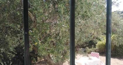 S&K Country House Pirgos Peloponnese