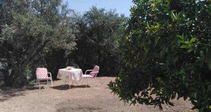 S&K Country House Pirgos Peloponnese