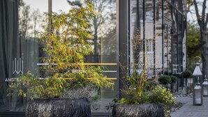 Two large, textured planters with various plants on a paved walkway. - Amsterdam Plaza (Palanga)